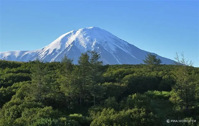 Около Камчатки за последние сутки произошло семь афтершоков мощностью до 5,2 баллов