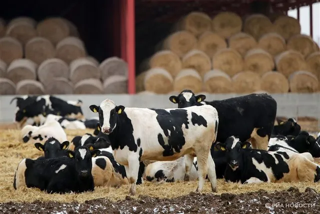 Более 30 преподавателей успешно прошли повышение квалификации в компании «Рота-Агро Благовещенье» под Московской областью