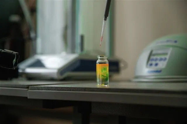 В Сибири разработали «молекулу-шпиона» для революционной проверки медикаментов