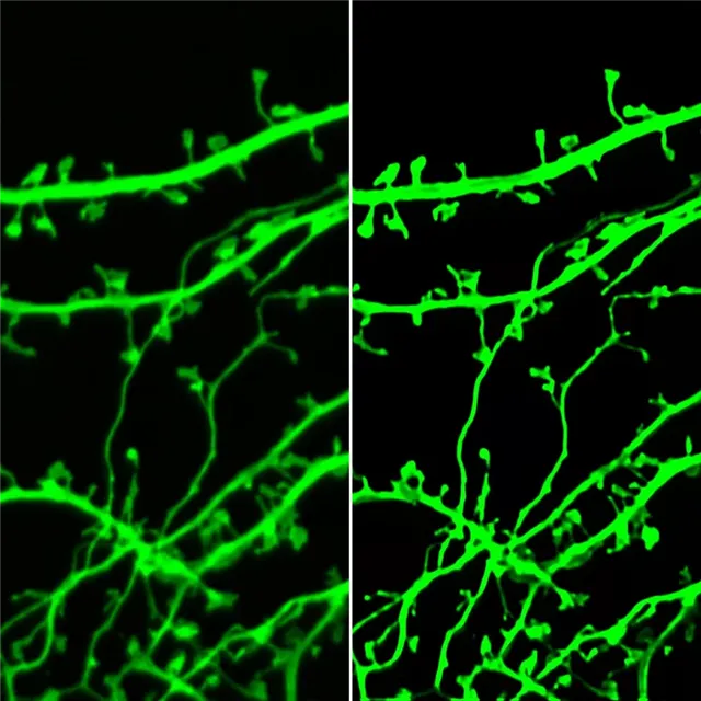 Российские исследователи создали инновационный микроскоп нового поколения