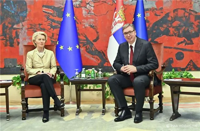 Вучич надеется на формирование совместной сербско-европейской рабочей группы по вопросам энергетики