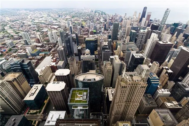 Четверо активистов с акций протеста в Чикаго официально обвинены — новости ABC